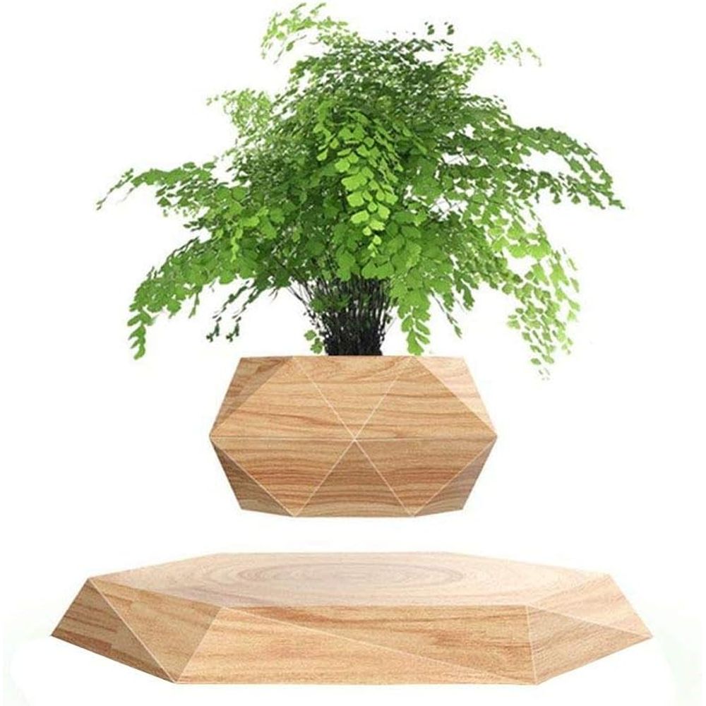 Home Office With Plants - Plant Pot Hexagon Floating Air Bonsai