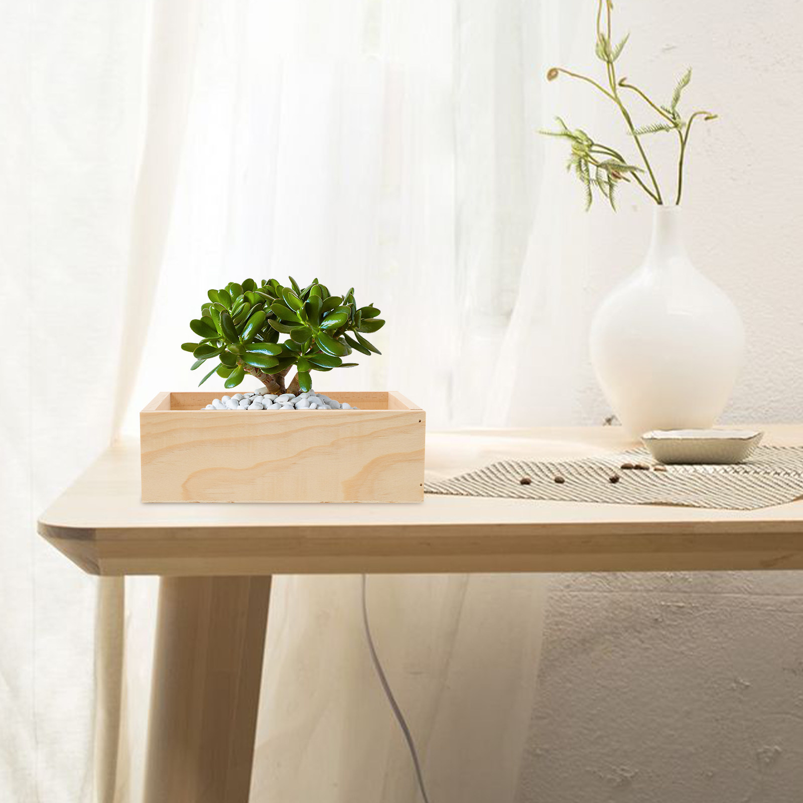 Home Office With Plants - Premium Wooden Rectangular Flowerpot for Succulents