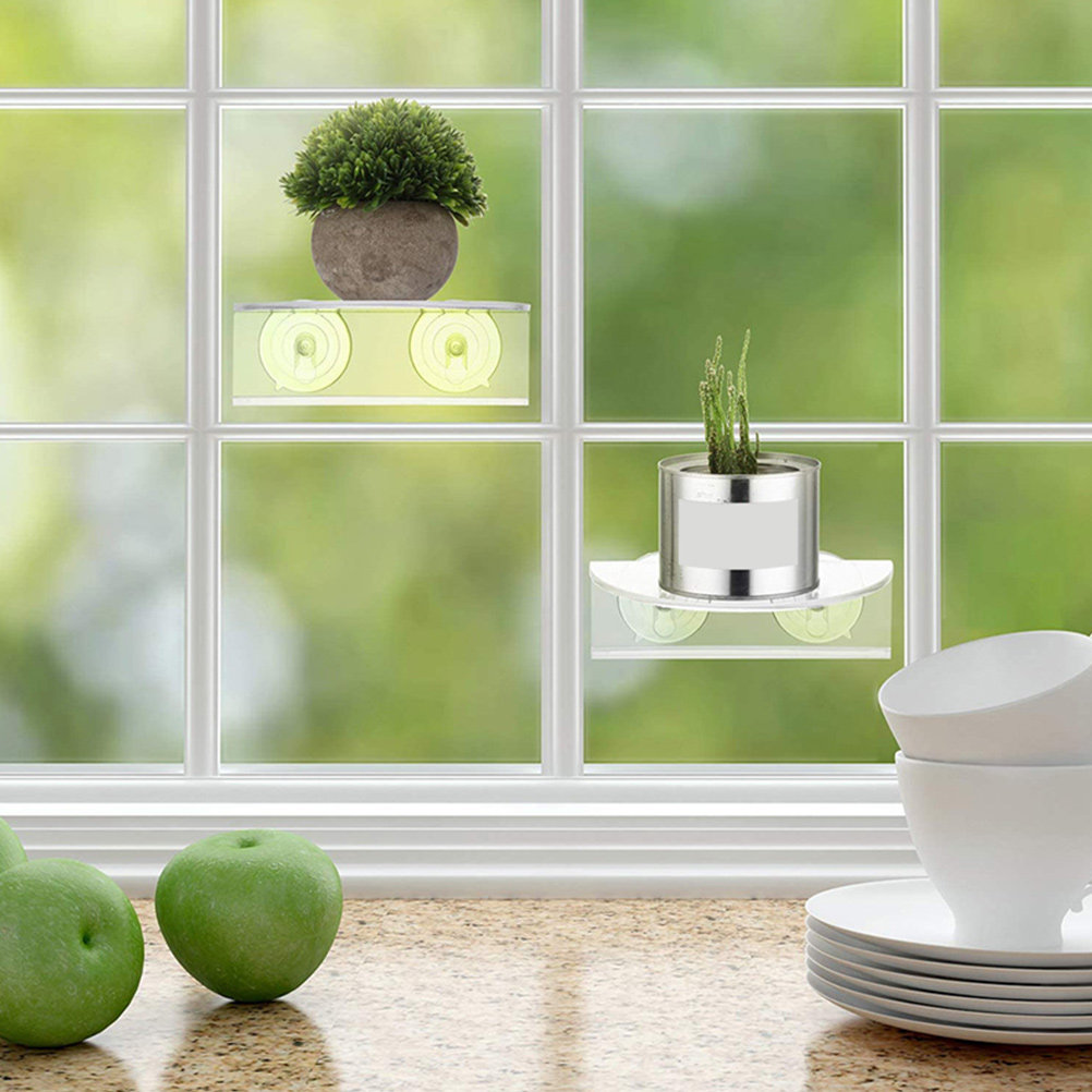Home Office With Plants - 2Pcs Transparent Acrylic Suction Cup Plant