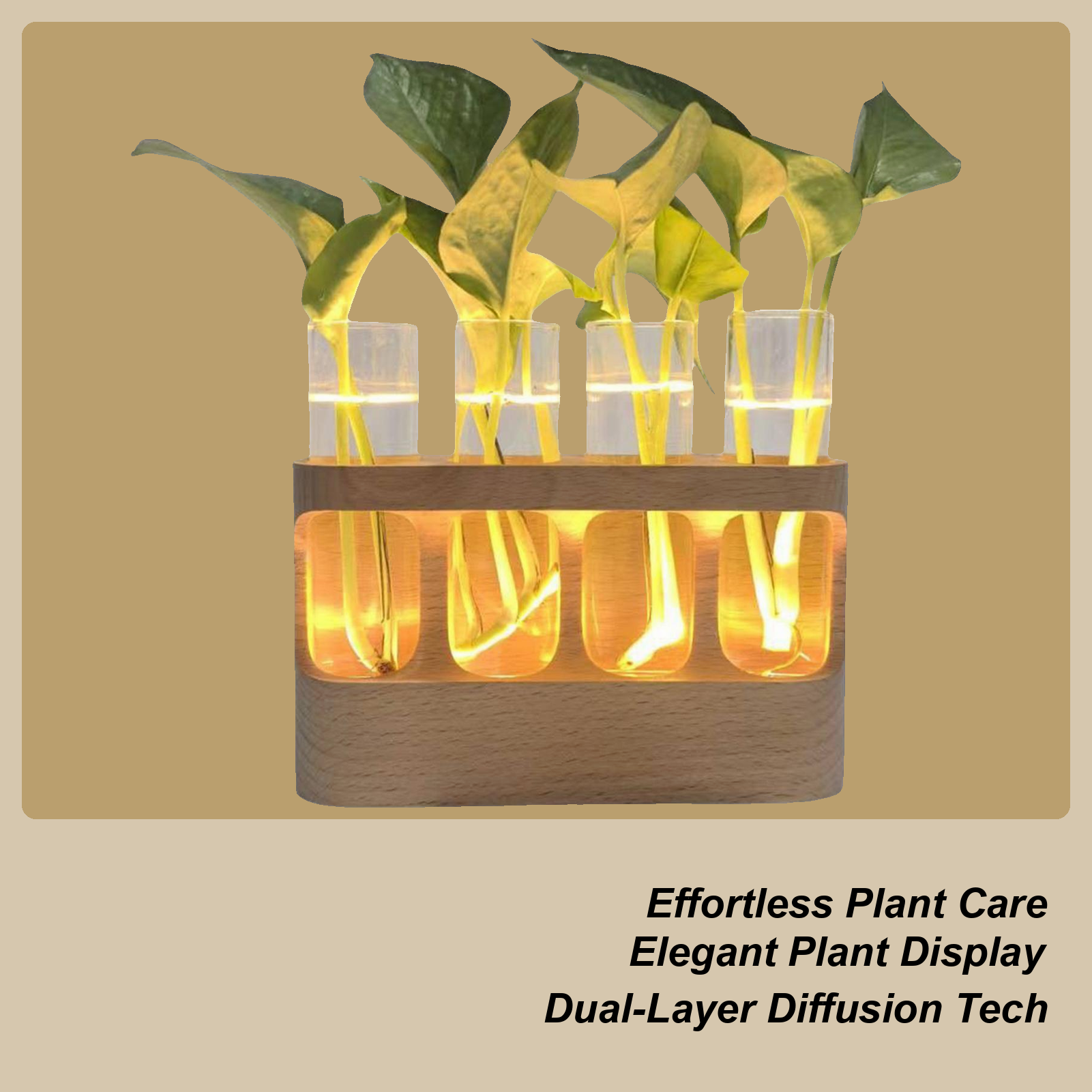 LED Plant Propagation Station  - Home Office With Plants review and price