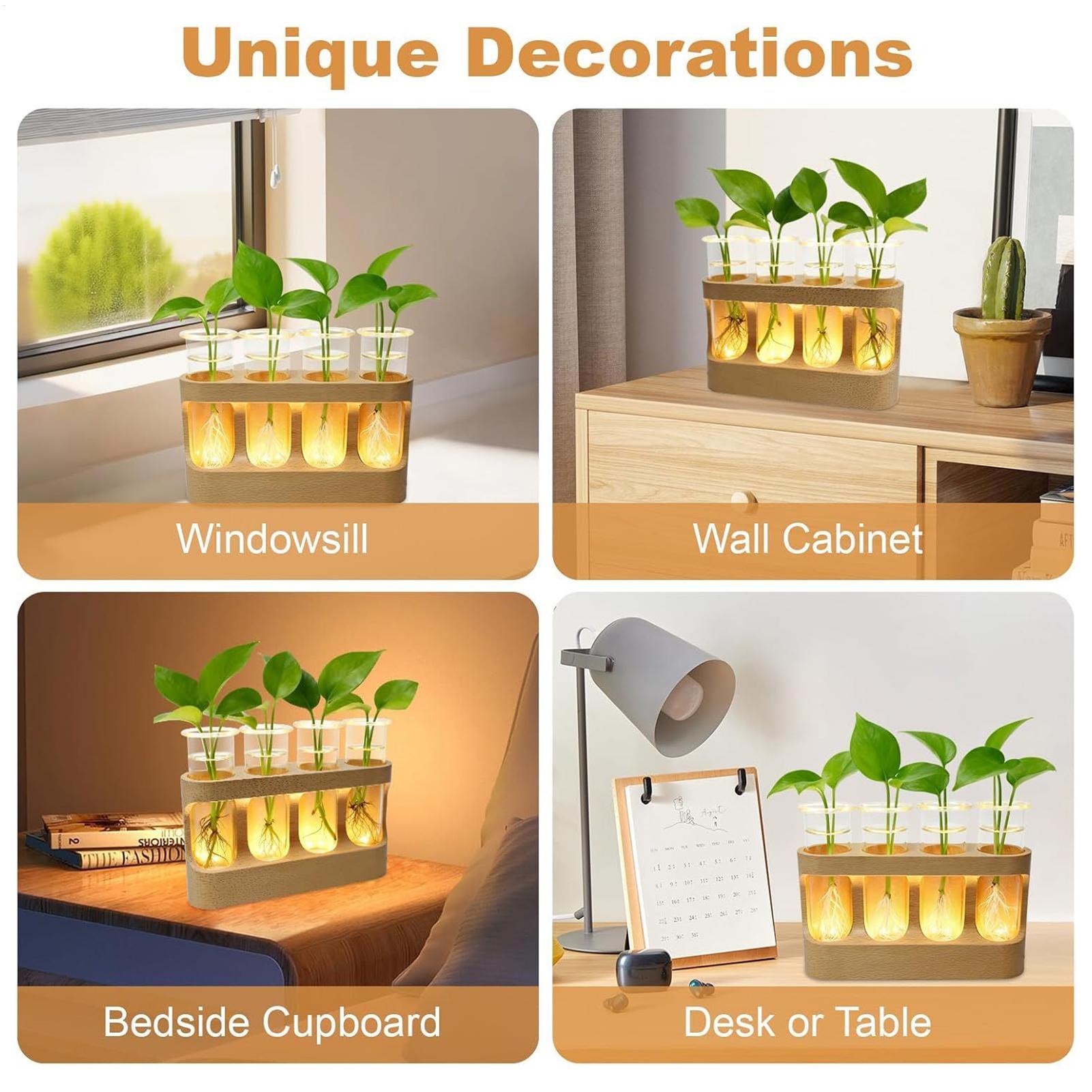 LED Plant Propagation Station  - Home Office With Plants review and price