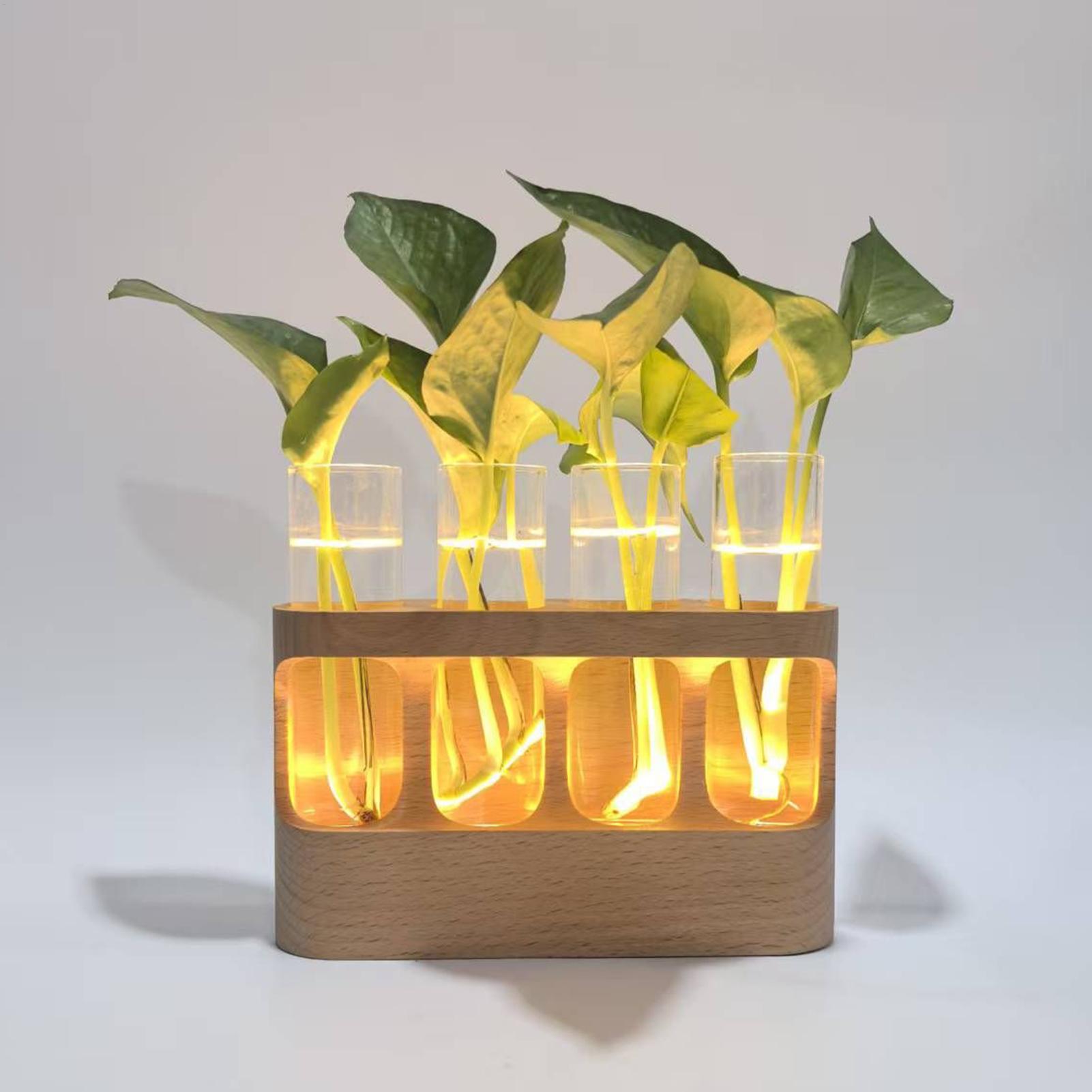 LED Plant Propagation Station  - Home Office With Plants review and price