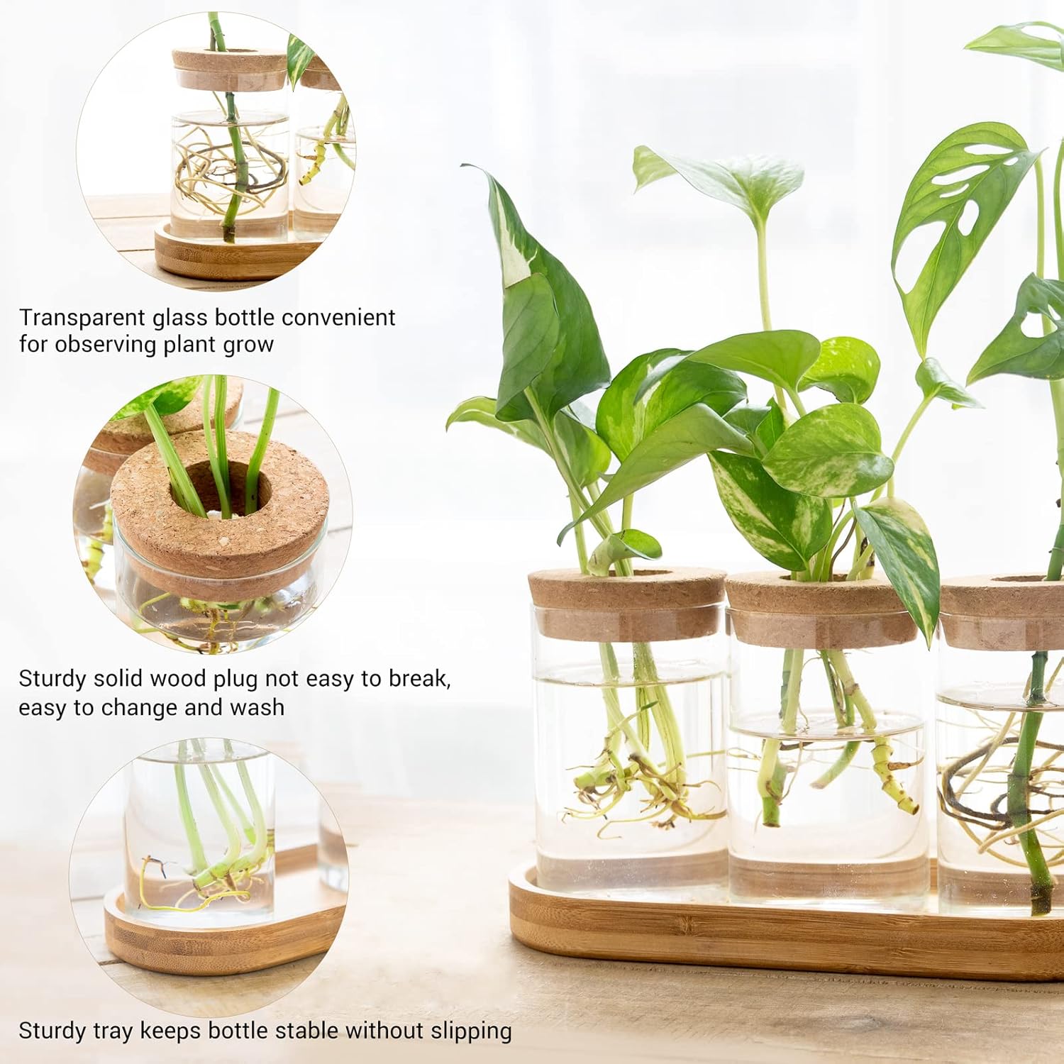 3 Pcs Glass Plant Propagation  - Home Office With Plants review and price