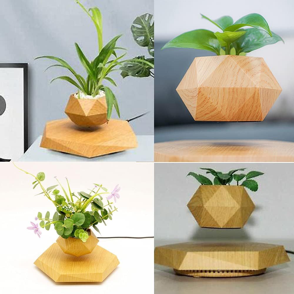 Plant Pot Hexagon Floating Air - Home Office With Plants review and price