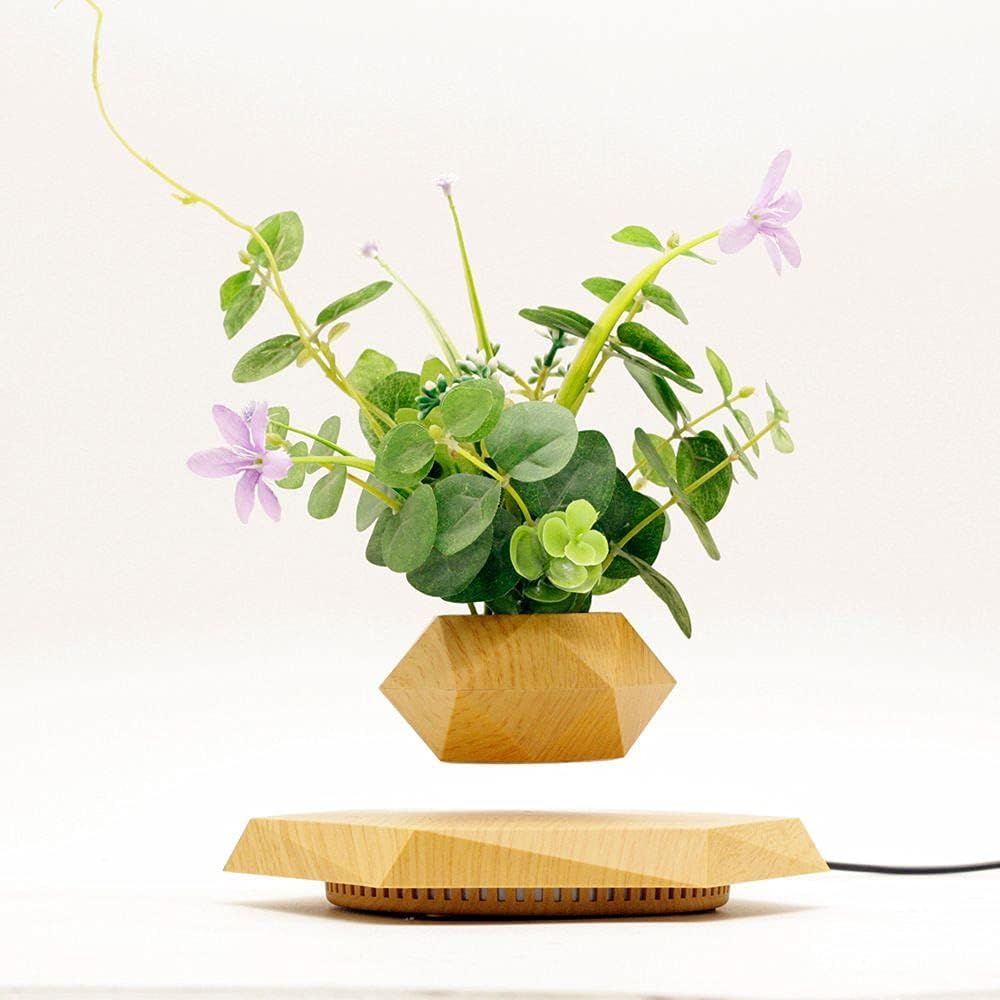 Plant Pot Hexagon Floating Air - Home Office With Plants review and price