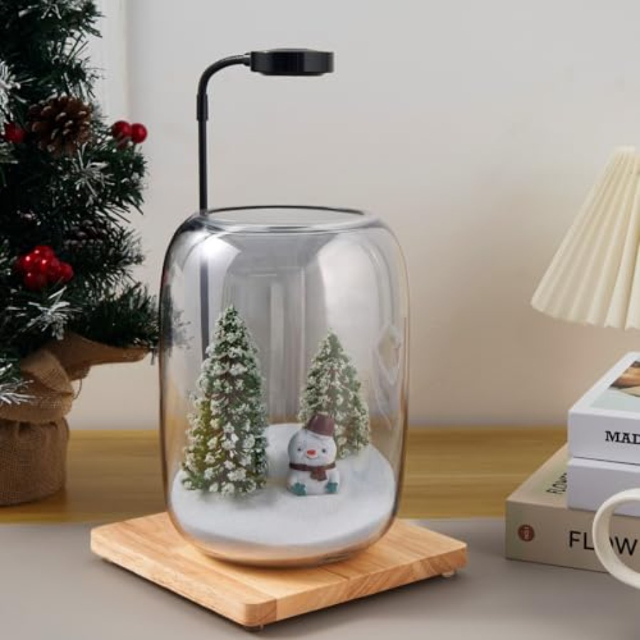 Glass Plant Terrarium Kit for  - Home Office With Plants review and price