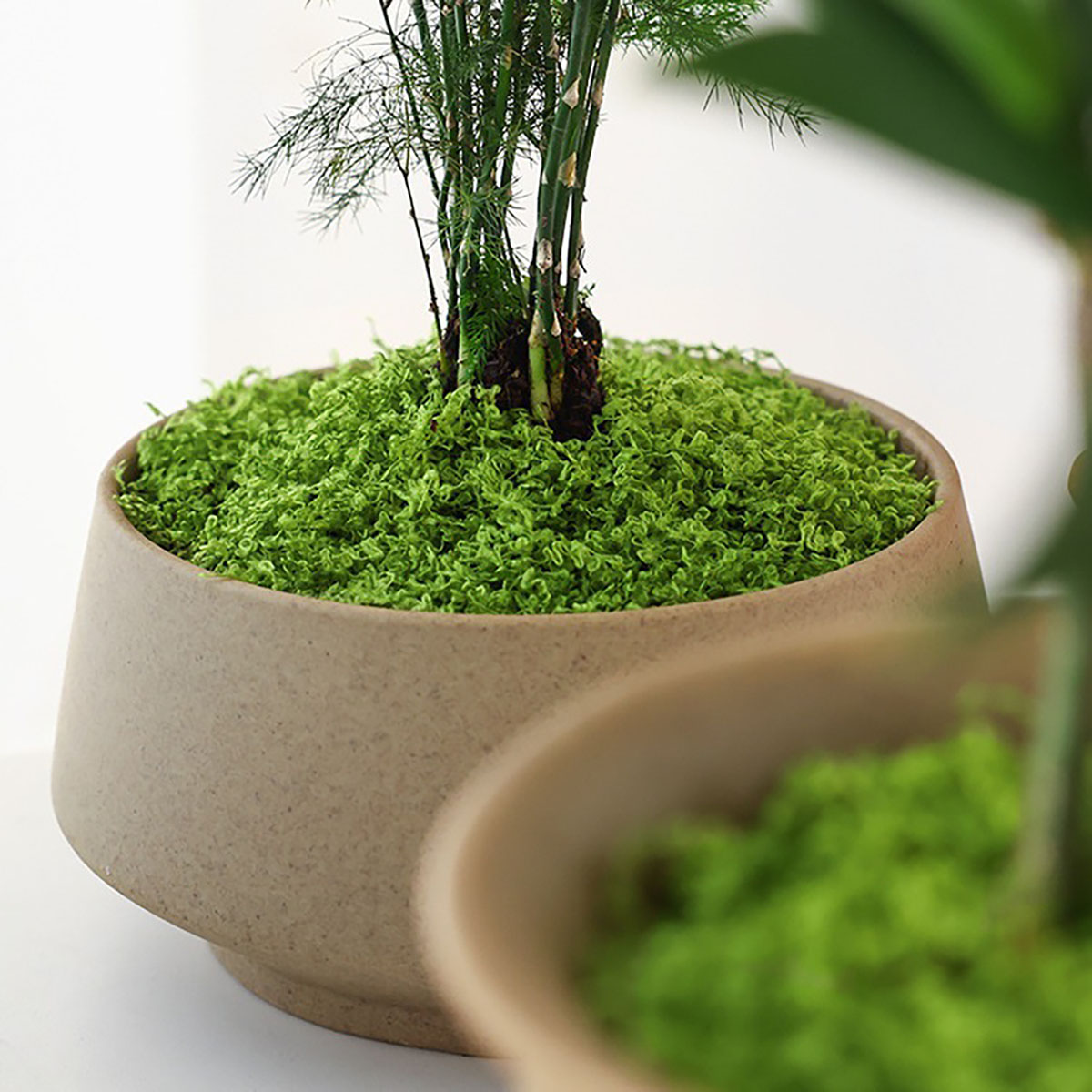 about 20g Artificial Green Pla - Home Office With Plants review and price