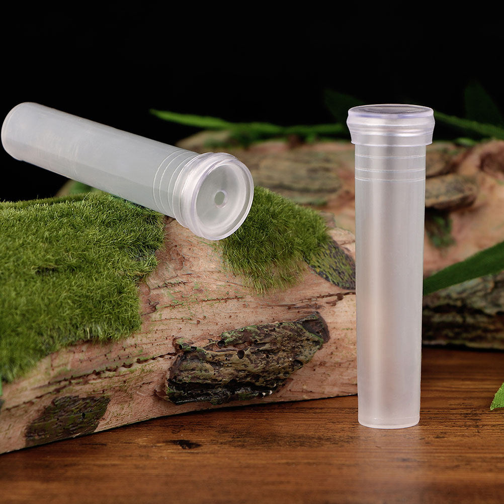 100Pcs Transparent Hydroponic  - Home Office With Plants review and price