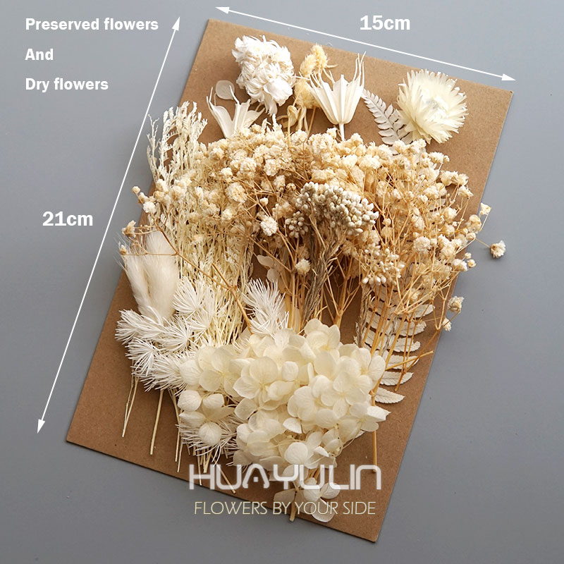 1 Pack Artificial Plants Dried - Home Office With Plants review and price