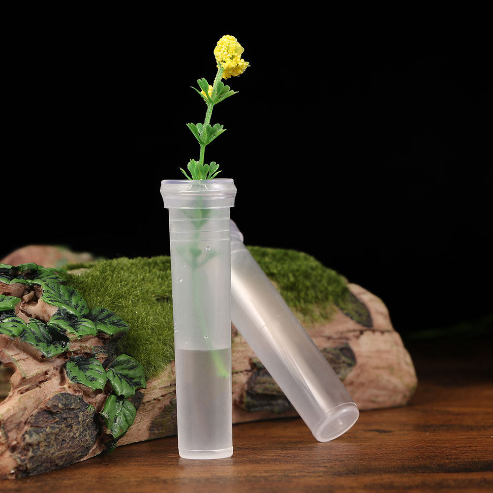 100Pcs Transparent Hydroponic  - Home Office With Plants review and price